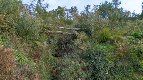 Terreno para Venda em Ansiães