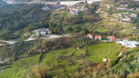 Terreno para Venda em Ansiães