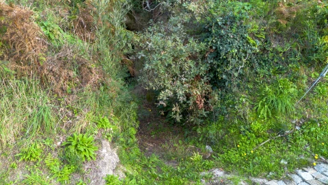 Terreno para Venda em Ansiães