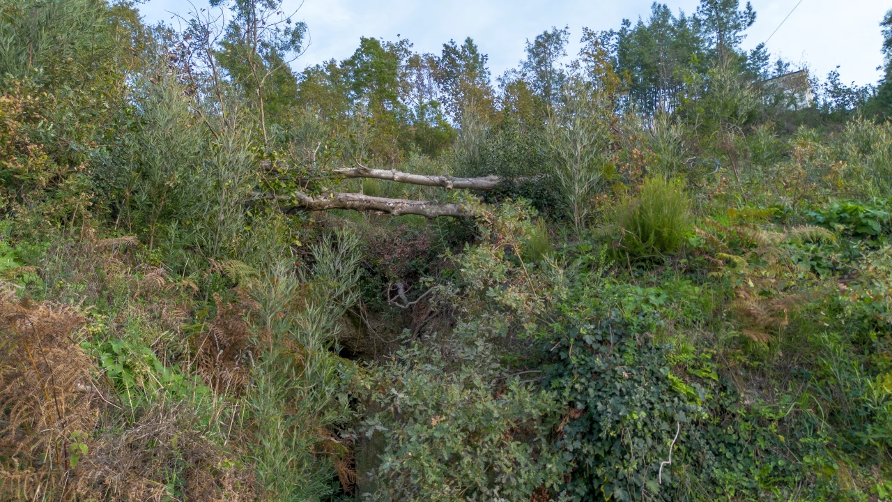 Terreno para Venda em Ansiães Foto 6