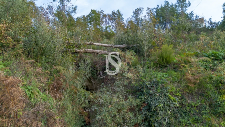 Terreno para Venda em Ansiães Foto 3