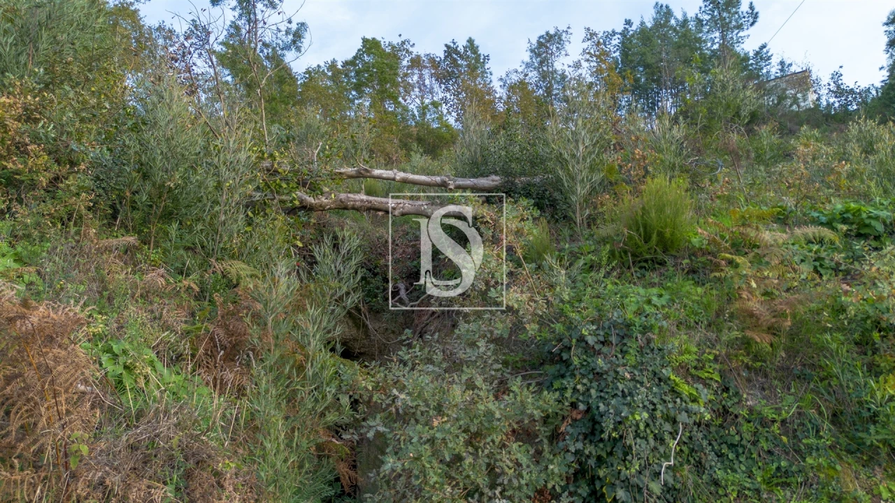 Terreno para Venda em Ansiães Foto 3