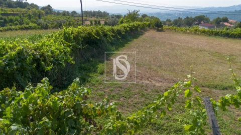 Terreno para Venda em Gouveia (São Simão)