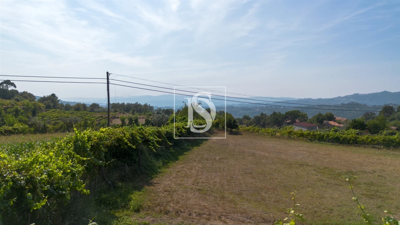Terreno para Venda em Gouveia (São Simão) Foto 25
