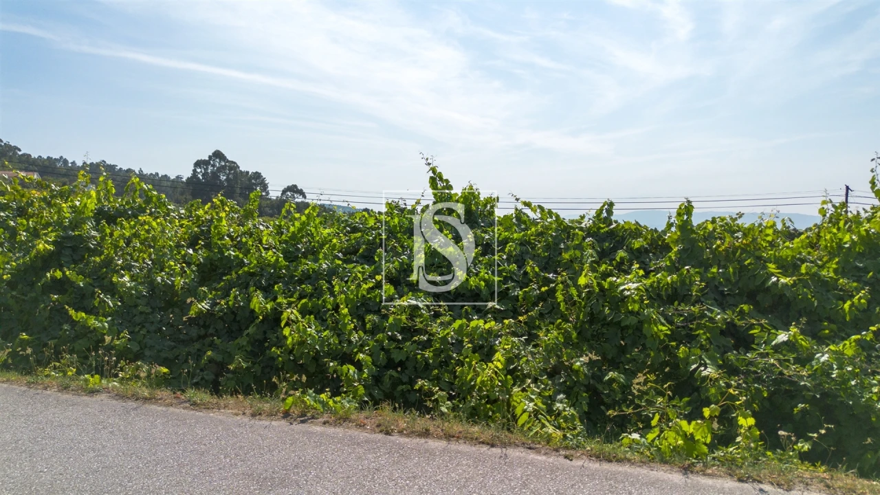 Terreno para Venda em Gouveia (São Simão) Foto 3