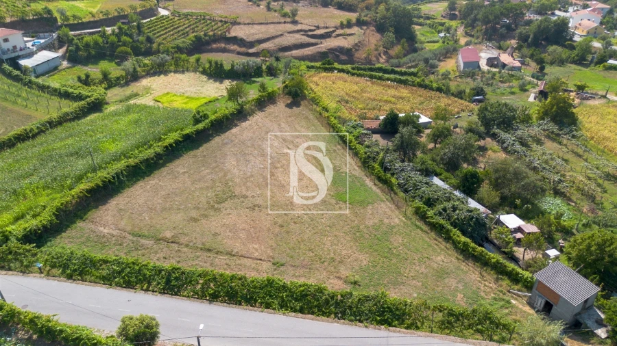 Terreno para Venda em Gouveia (São Simão) Foto 21