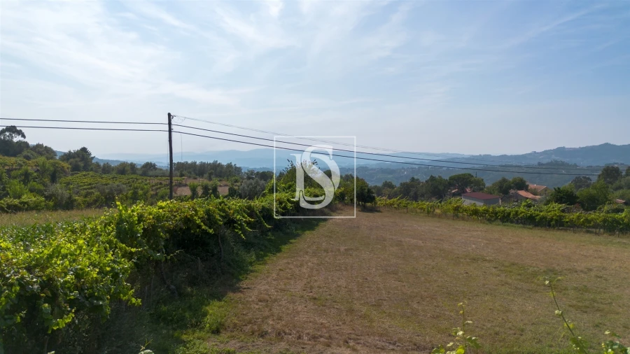 Terreno para Venda em Gouveia (São Simão) Foto 25