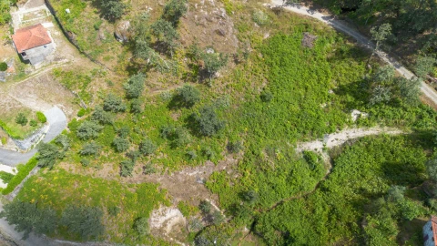 Terreno para Venda em Jazente