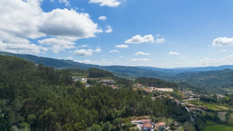 Terreno para Venda em Jazente