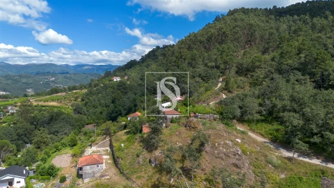 Terreno para Venda em Jazente