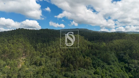 Terreno para Venda em Jazente