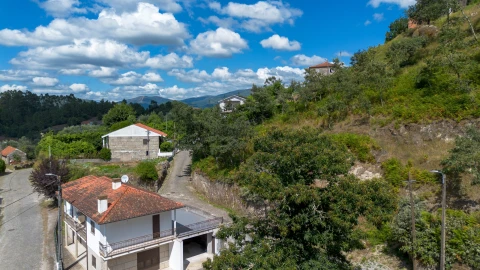 Terreno para Venda em Jazente
