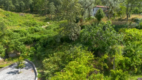 Terreno para Venda em Jazente