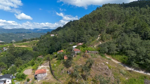 Terreno para Venda em Jazente