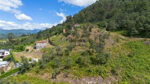 Terreno para Venda em Jazente
