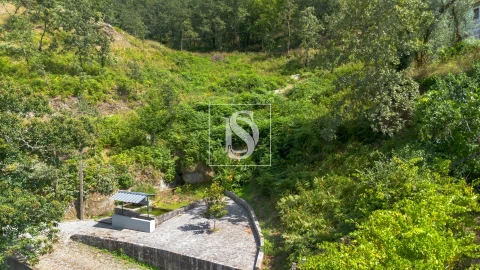 Terreno para Venda em Jazente