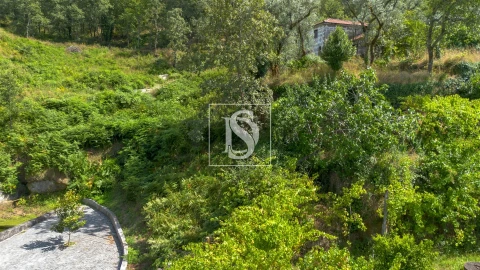 Terreno para Venda em Jazente