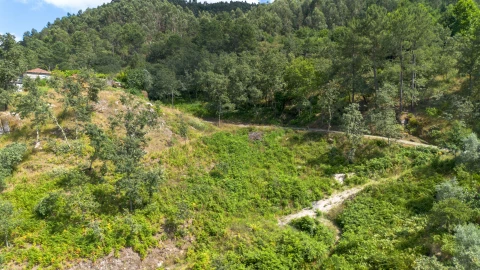Terreno para Venda em Jazente