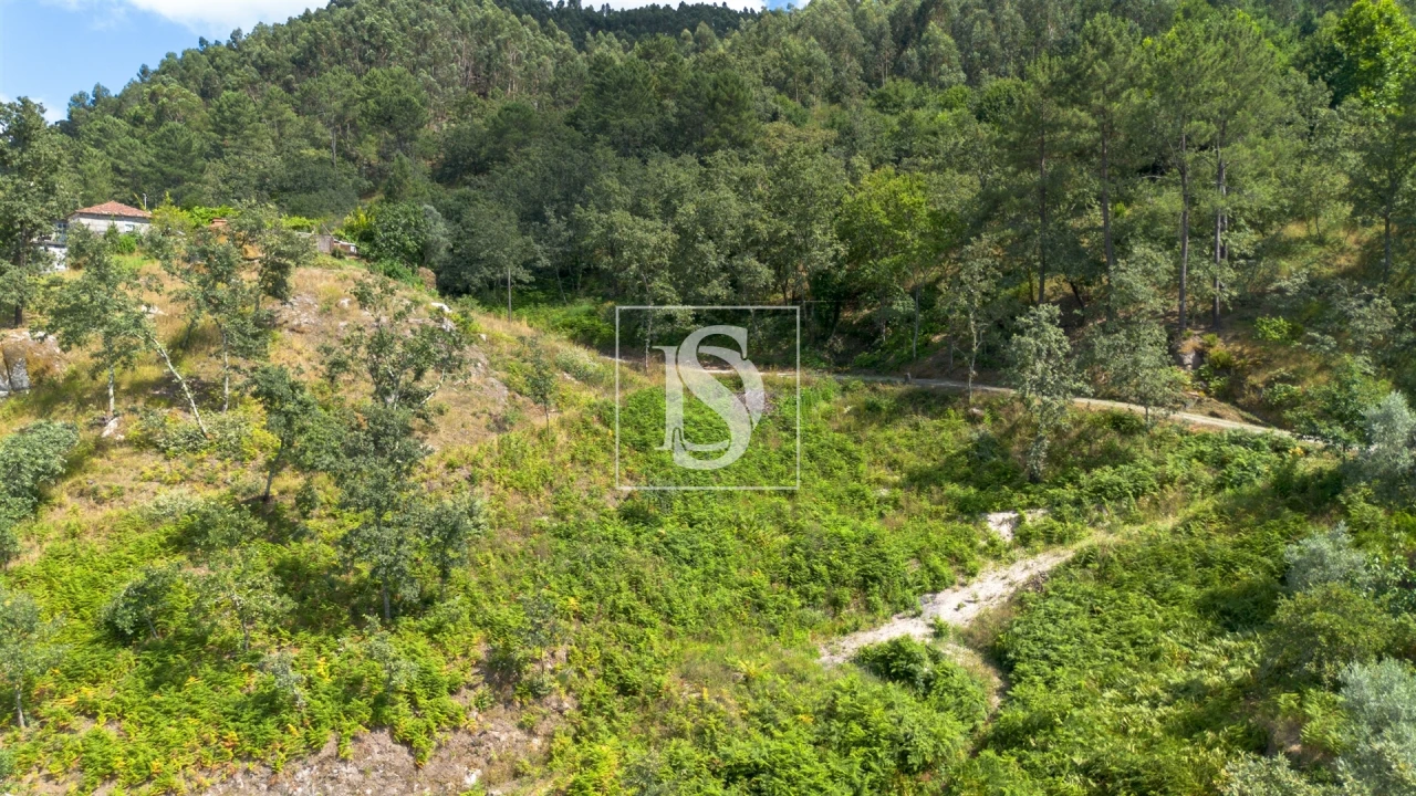 Terreno para Venda em Jazente Foto 2
