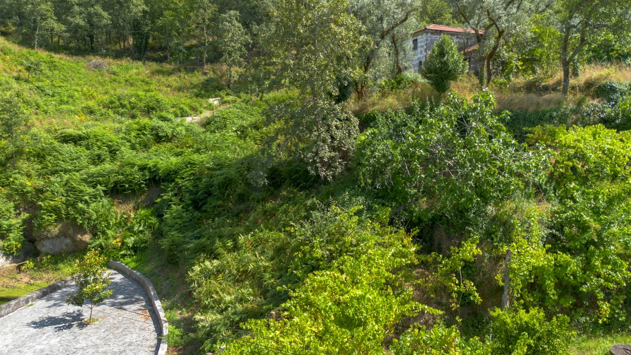 Terreno para Venda em Jazente Foto 18