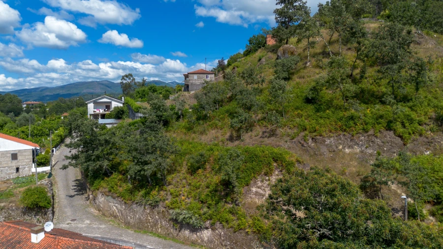 Terreno para Venda em Jazente Foto 10