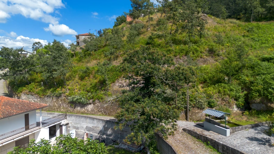 Terreno para Venda em Jazente Foto 9