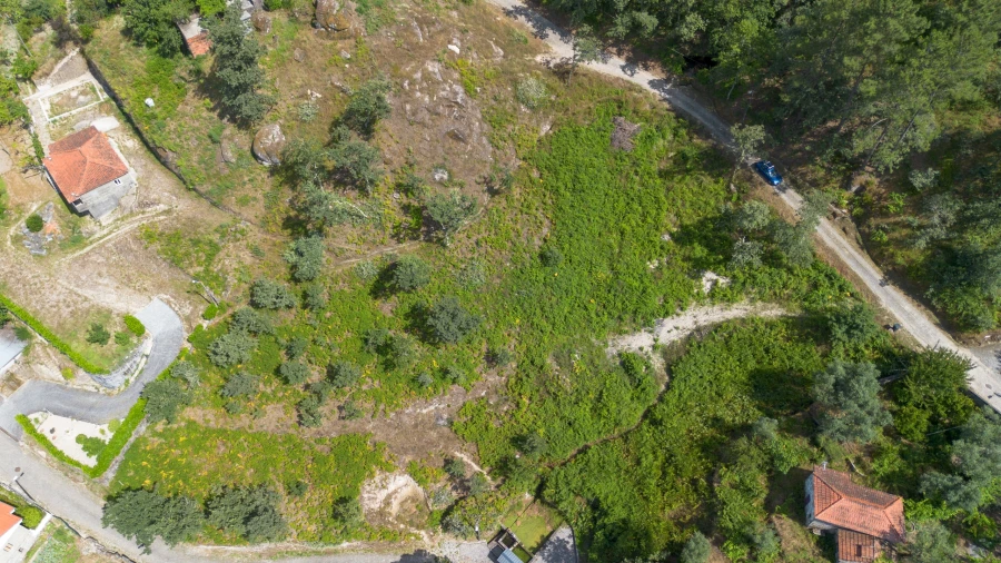 Terreno para Venda em Jazente Foto 12