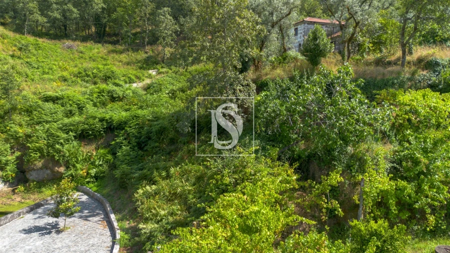 Terreno para Venda em Jazente Foto 15