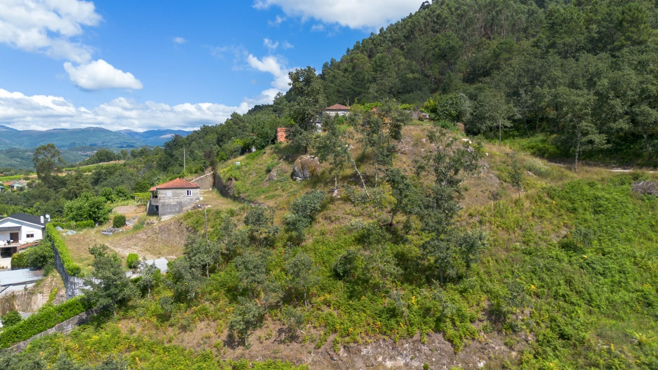 Terreno para Venda em Jazente Foto 7