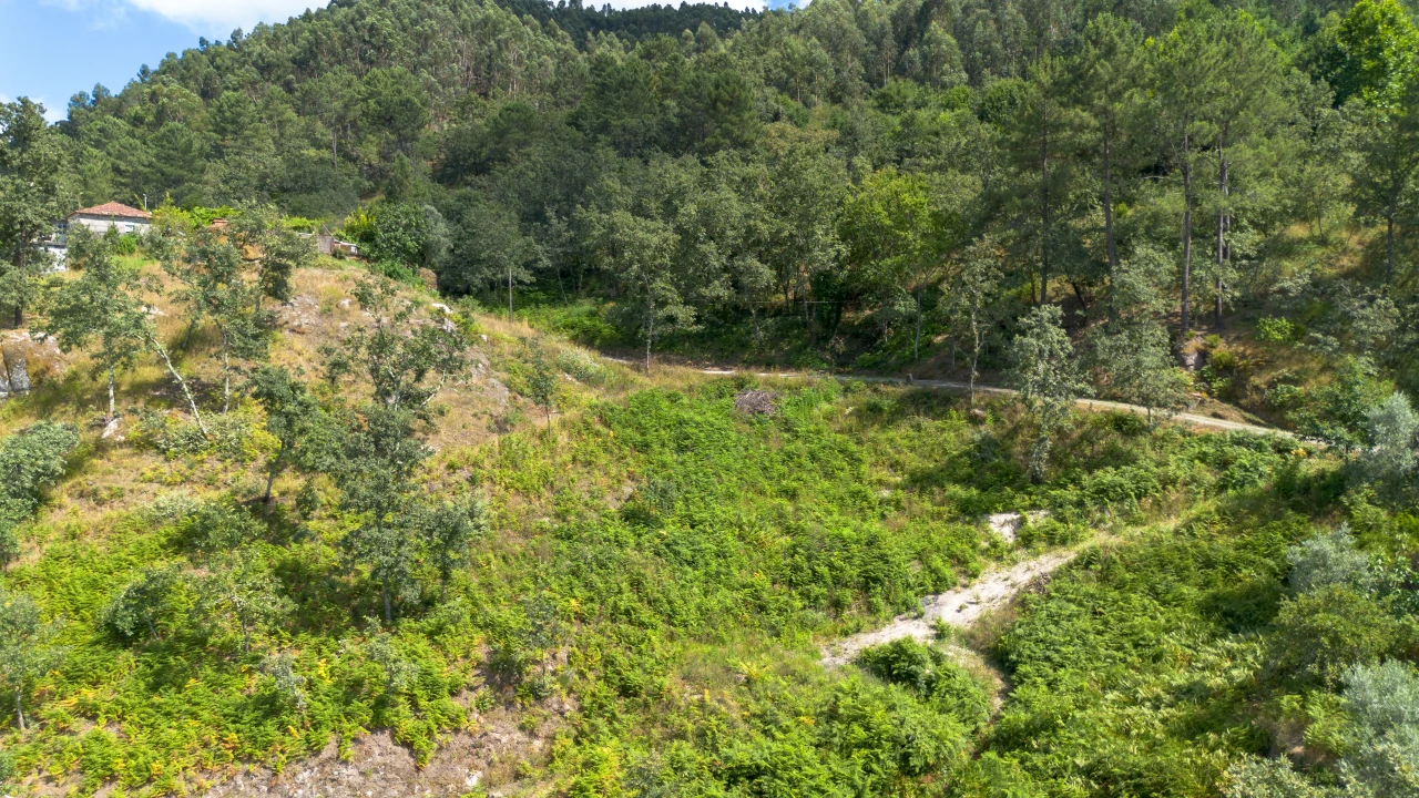 Terreno para Venda em Jazente Foto 20