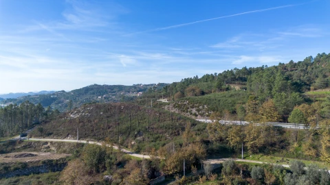 Terreno para Venda em Gondar
