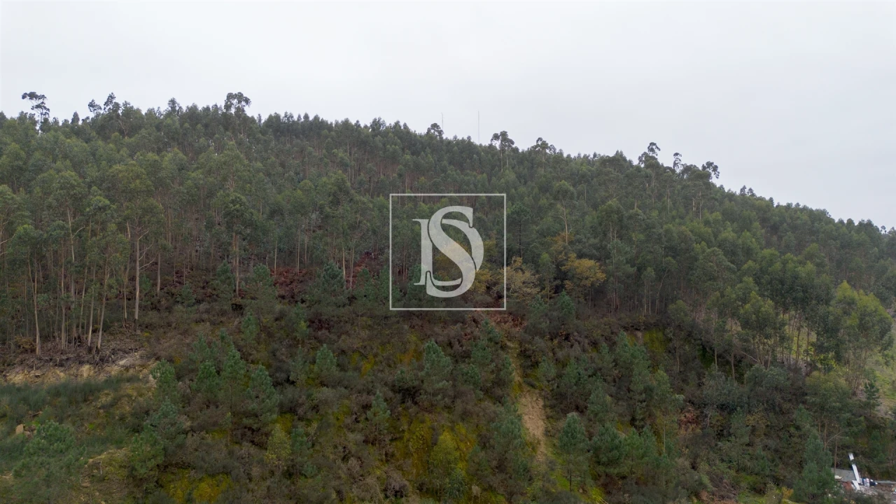 Terreno para Venda em Vandoma Foto 11