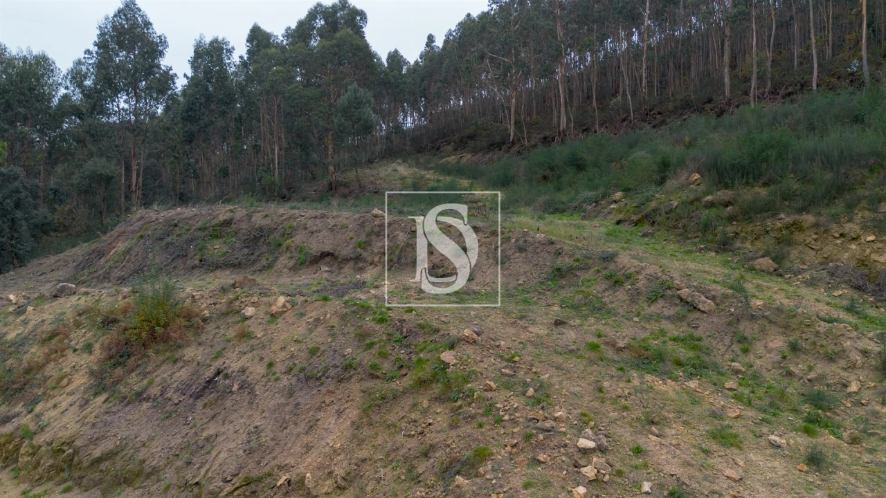 Terreno para Venda em Vandoma Foto 13