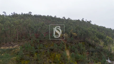 Terreno para Venda em Vandoma