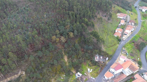 Terreno para Venda em Vandoma