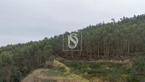 Terreno para Venda em Vandoma