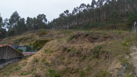 Terreno para Venda em Vandoma