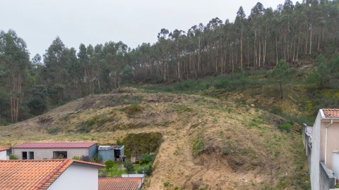 Terreno para Venda em Vandoma