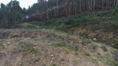 Terreno para Venda em Vandoma