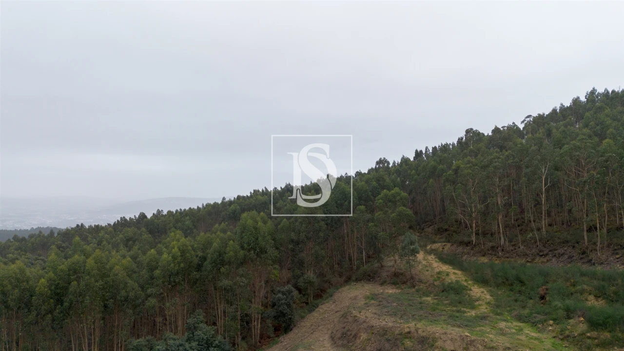 Terreno para Venda em Vandoma Foto 3