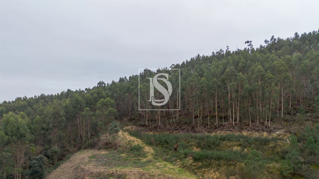 Terreno para Venda em Vandoma Foto 7