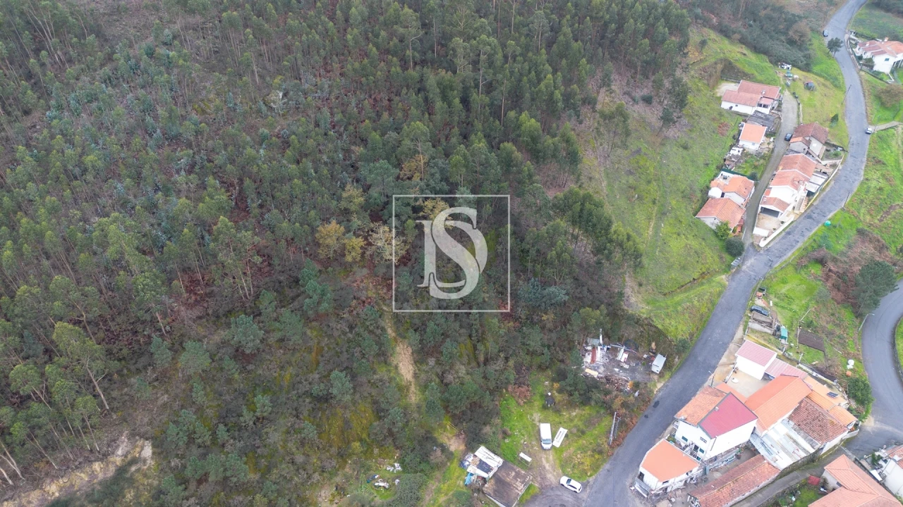 Terreno para Venda em Vandoma Foto 14