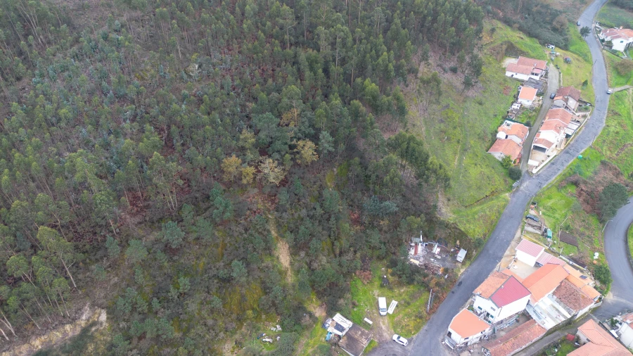 Terreno para Venda em Vandoma Foto 20