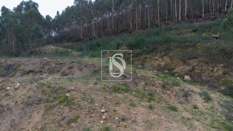 Terreno para Venda em Vandoma Foto 12