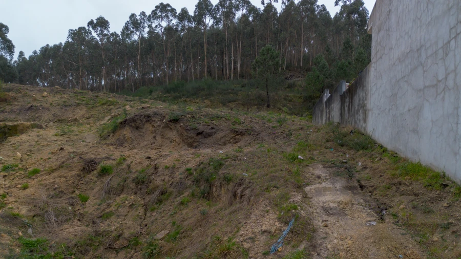 Terreno para Venda em Vandoma Foto 8