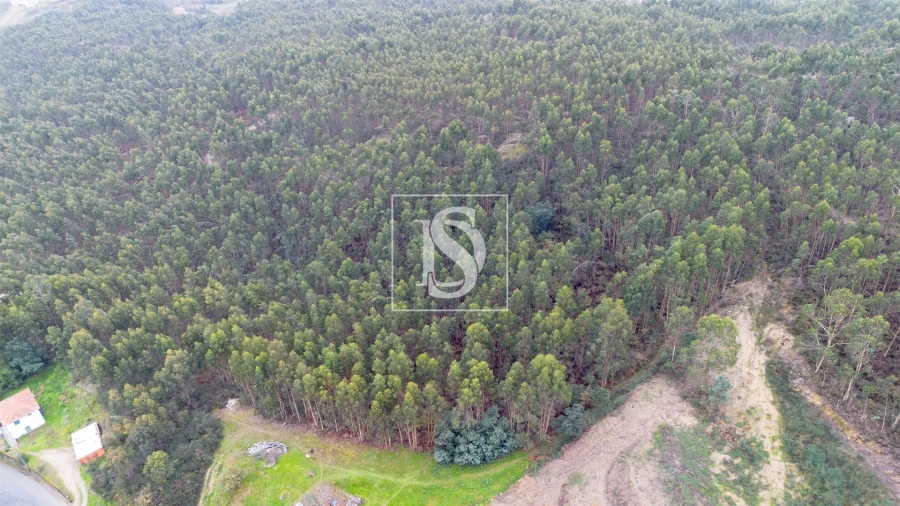 Terreno para Venda em Vandoma Foto 2