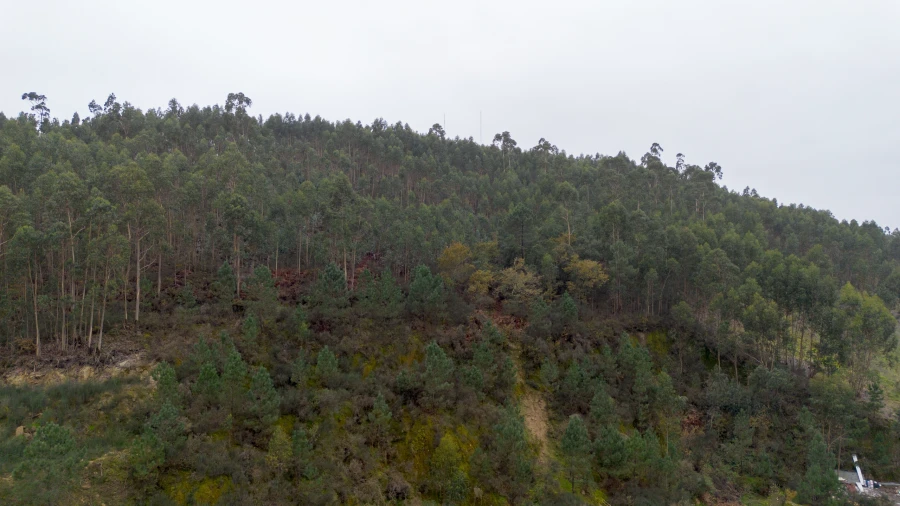 Terreno para Venda em Vandoma Foto 5
