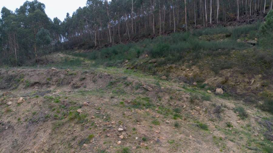 Terreno para Venda em Vandoma Foto 18