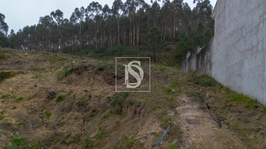 Terreno para Venda em Vandoma Foto 23
