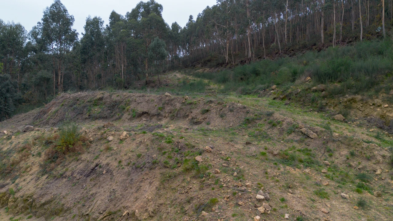Terreno para Venda em Vandoma Foto 21